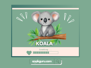 Fakta Lengkap Koala