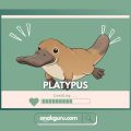 Fakta Lengkap Platypus: Hewan Unik Bertelur yang Menentang Hukum Alam