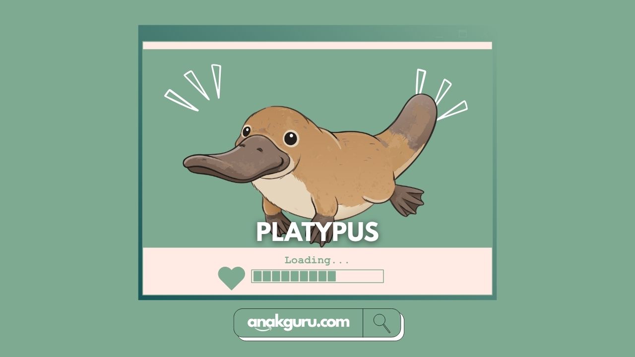 Fakta Lengkap Platypus