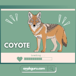 Fakta Lengkap Coyote: Anjing Pintar Adaptif Amerika