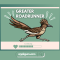 Fakta Greater Roadrunner: Sang Pemangsa Gurun Melampaui Mitos Kartun