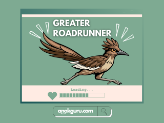 Mengenal Greater Roadrunner