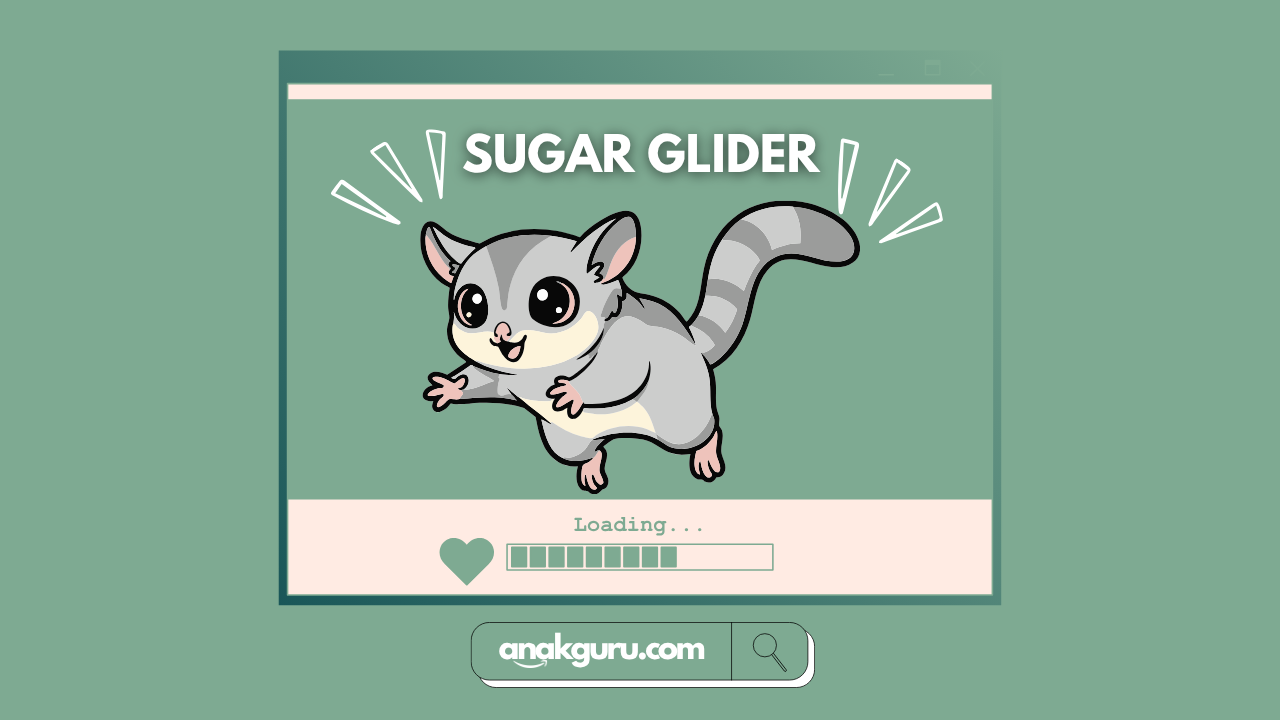 Fakta Lengkap Sugar Glider