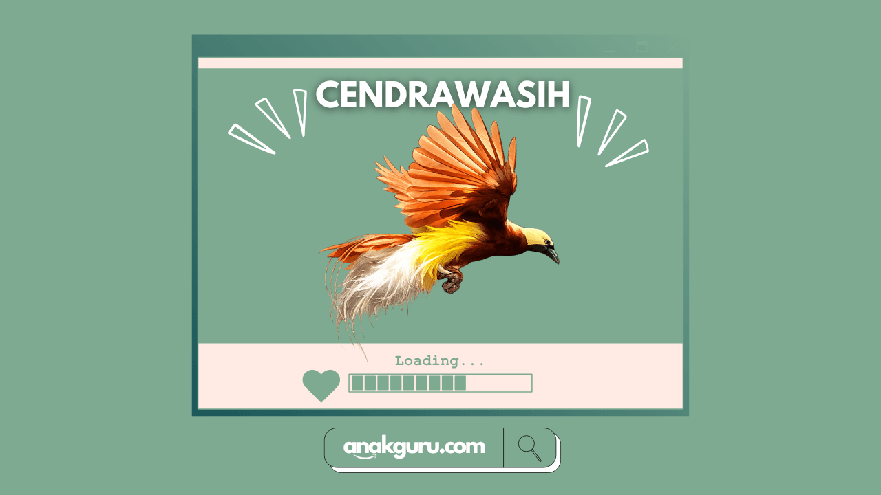 Fakta Burung Cendrawasih