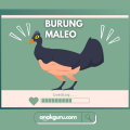 Fakta Burung Maleo: Satwa Unik yang Menetaskan Telur di Tanah