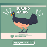Fakta Burung Maleo: Satwa Unik yang Menetaskan Telur di Tanah