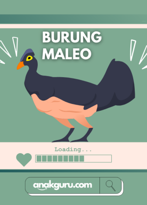 Fakta Burung Maleo: Satwa Unik yang Menetaskan Telur di Tanah