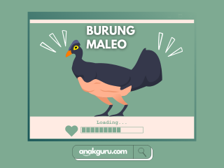 Fakta Burung Maleo: Satwa Unik yang Menetaskan Telur di Tanah