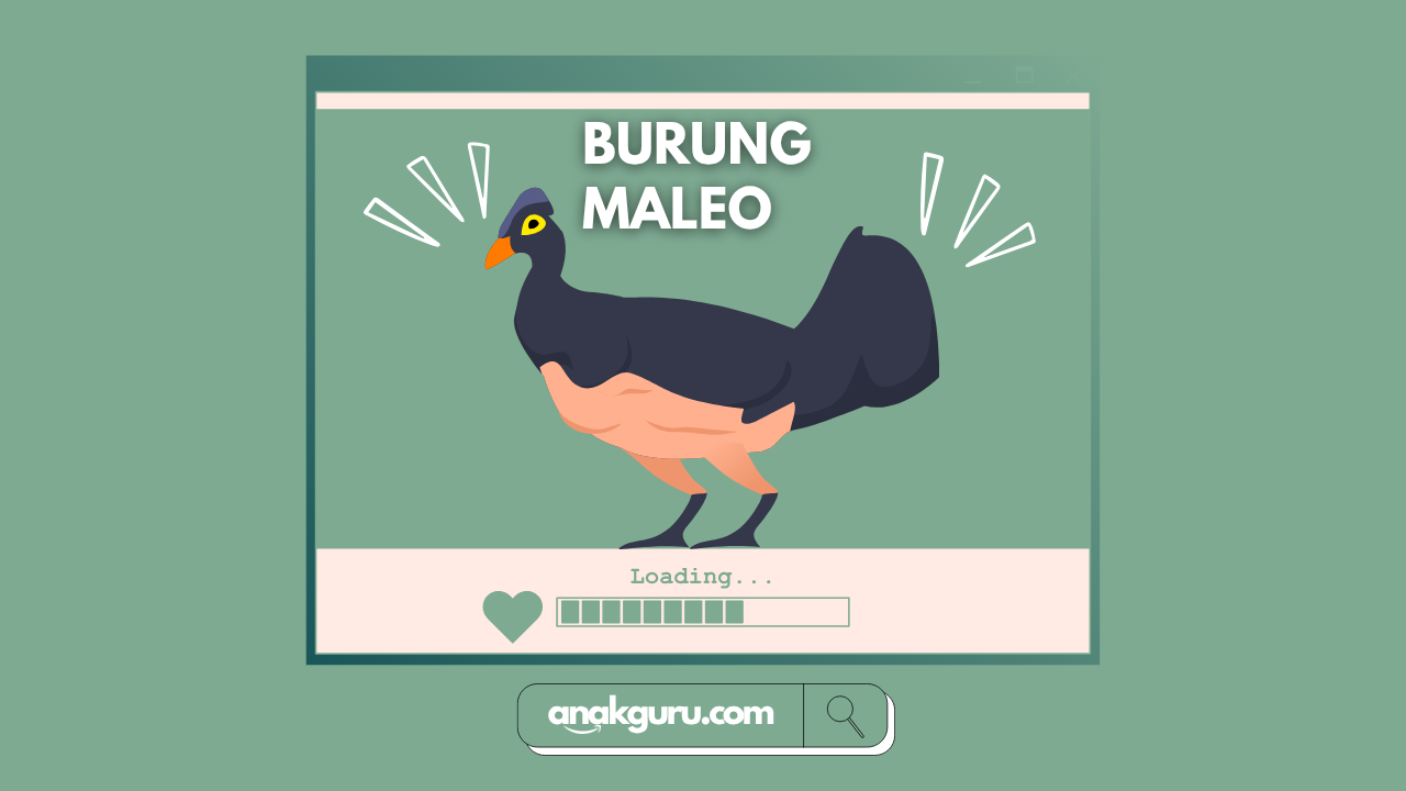Fakta Burung Maleo