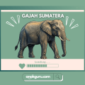 Fakta Lengkap Gajah Sumatera: Raksasa Cerdas Penghuni Hutan Hujan