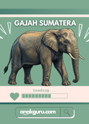 Fakta Lengkap Gajah Sumatera: Raksasa Cerdas Penghuni Hutan Hujan