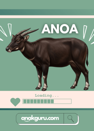 Fakta Lengkap Anoa: Kerbau Kerdil Endemik Sulawesi yang Langka