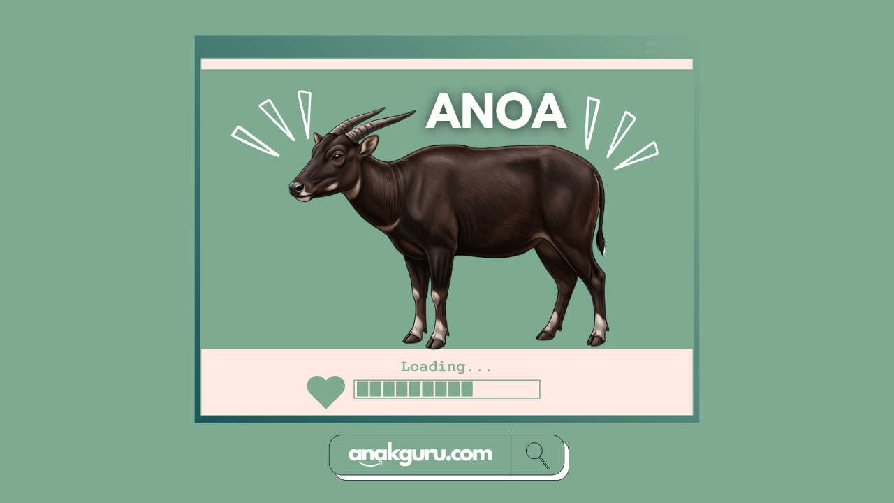 Fakta Lengkap Anoa