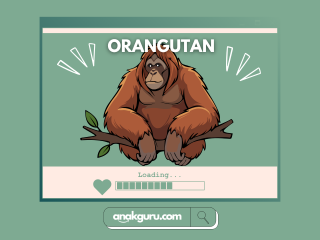 Fakta Lengkap Orangutan