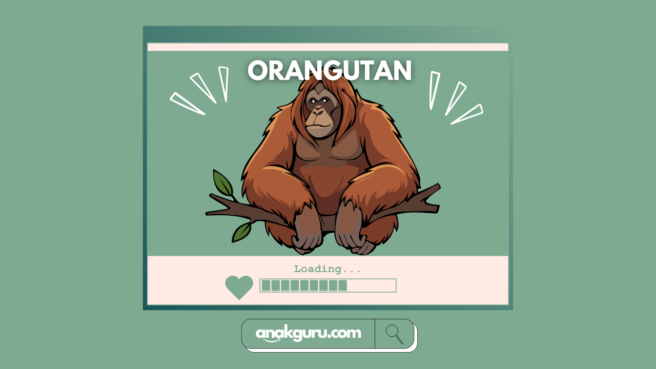 Fakta Lengkap Orangutan